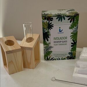 Desktop Glass Plant Terrariums with Wooden Stand